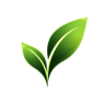 Sapling AI Logo