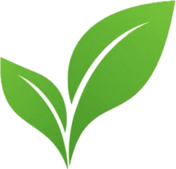 Sapling AI Logo